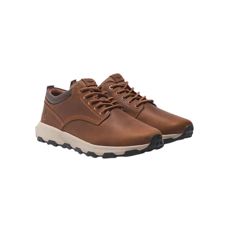 Sneakers Uomo Winsor Park Marrone