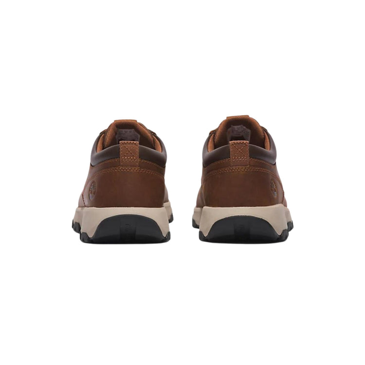 Sneakers Uomo Winsor Park Marrone