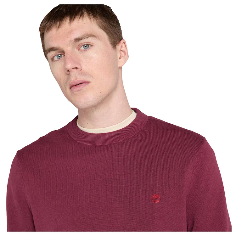 Maglione Uomo in cotone Williams River Bordeaux modello frontale ravvicinato