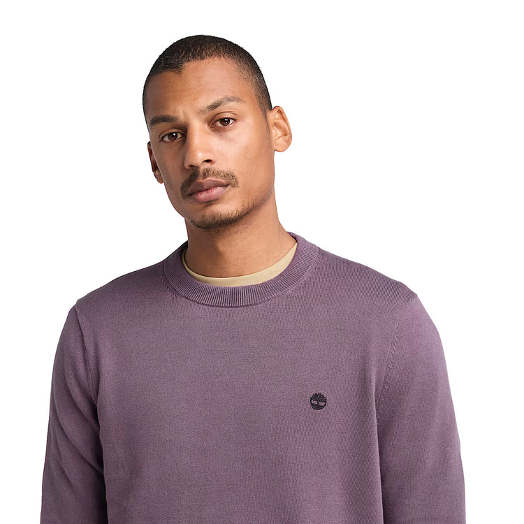 Maglione Uomo Williams River Viola modello frontale ravvicinato