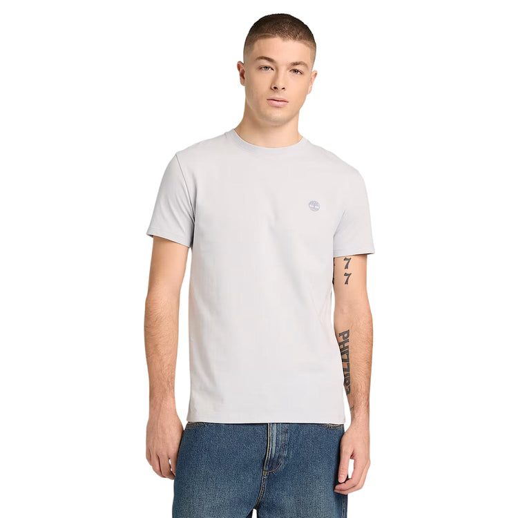 T-shirt uomo a girocollo grigia