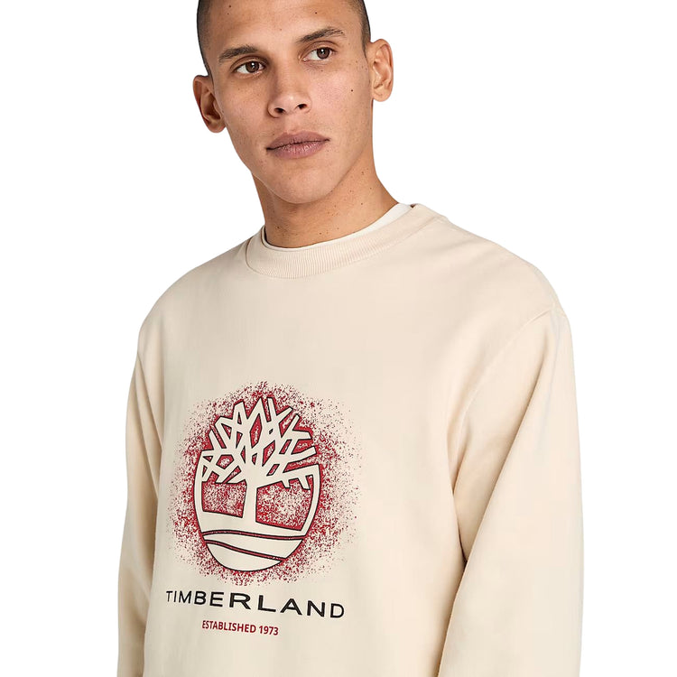 Felpa Uomo con motivo grafico stagionale Beige modello frontale ravvicinato