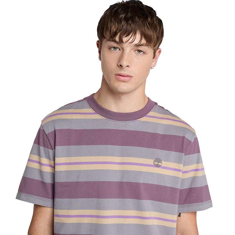 T-shirt Uomo a righe Viola modello frontale ravvicinato