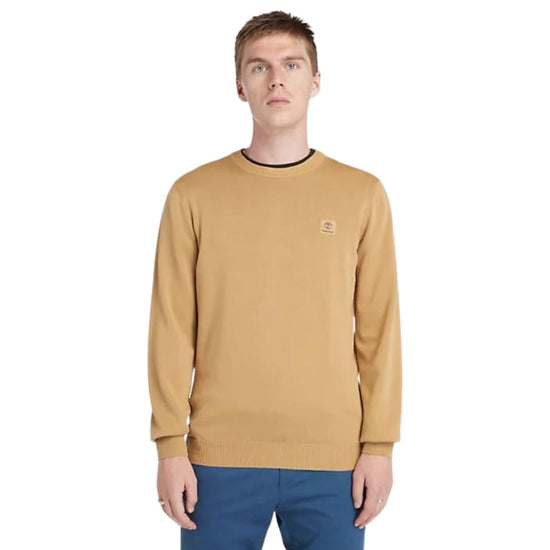 Modello con Maglione in cotone con girocollo e fondi a costine colore Giallo