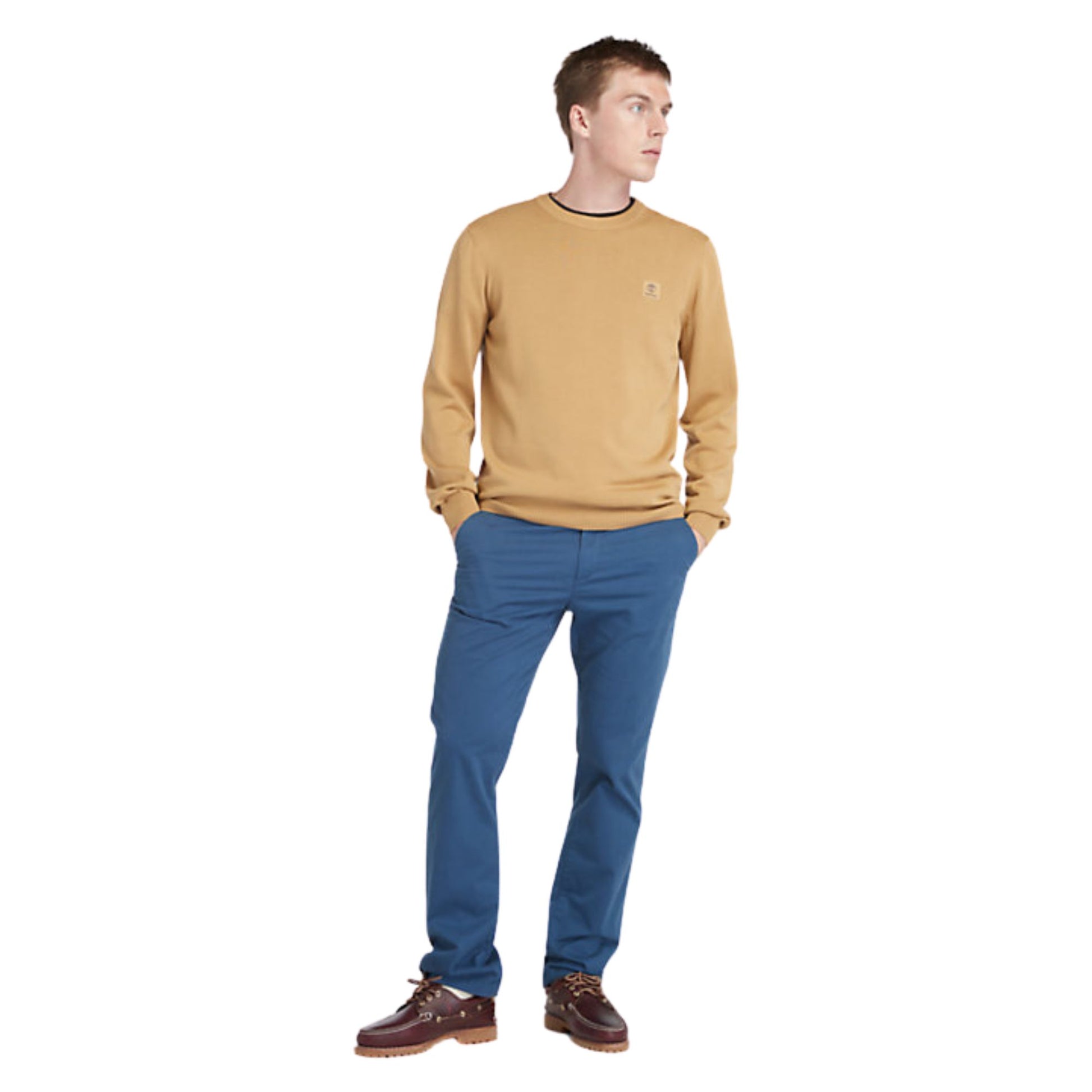 Look intero modello con Maglione in cotone con girocollo e fondi a costine colore Giallo