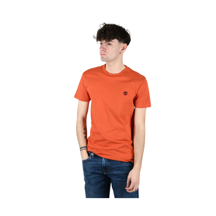 Men's cotton T-shirt with embroidered logo