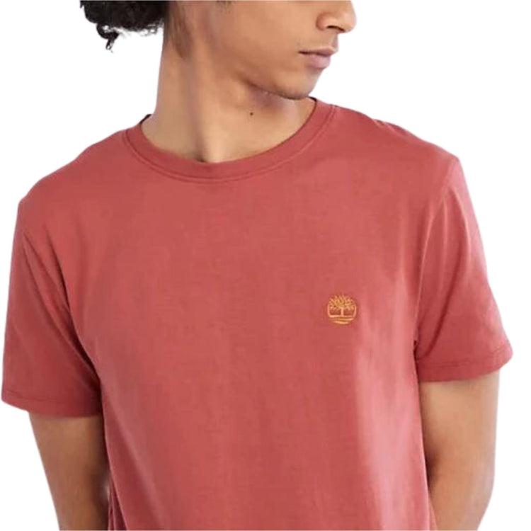 Men's cotton T-shirt with embroidered logo