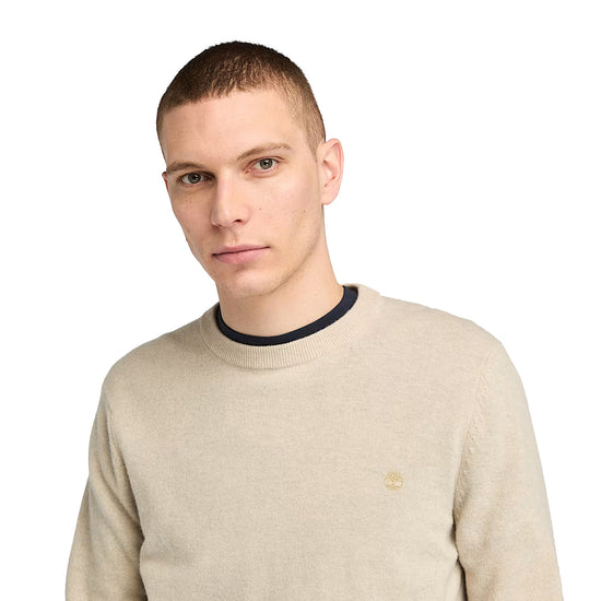 Maglione Uomo Cohas Brook Beige modello frontale ravvicinato