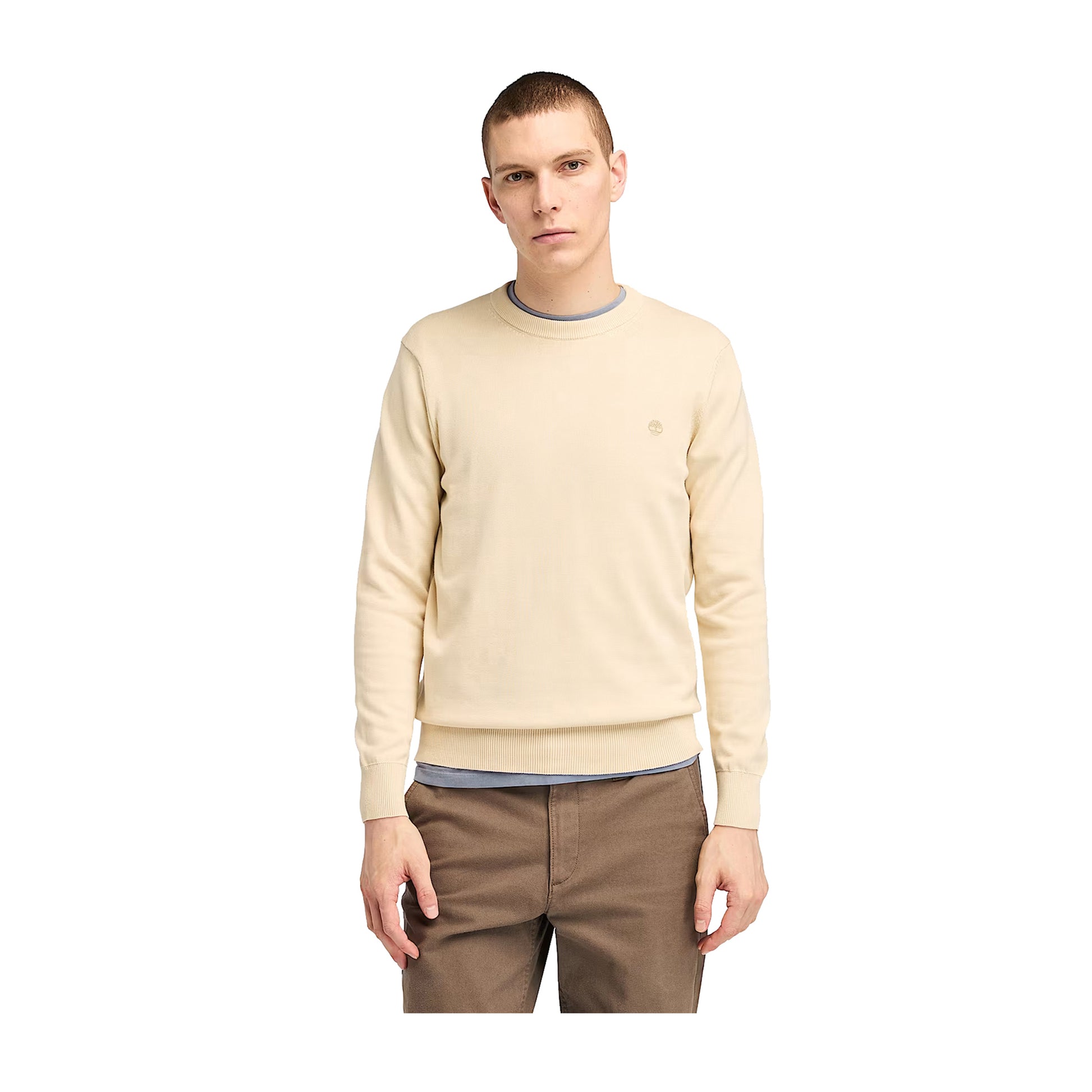 Modello frontale con Maglione Uomo Williams River Beige