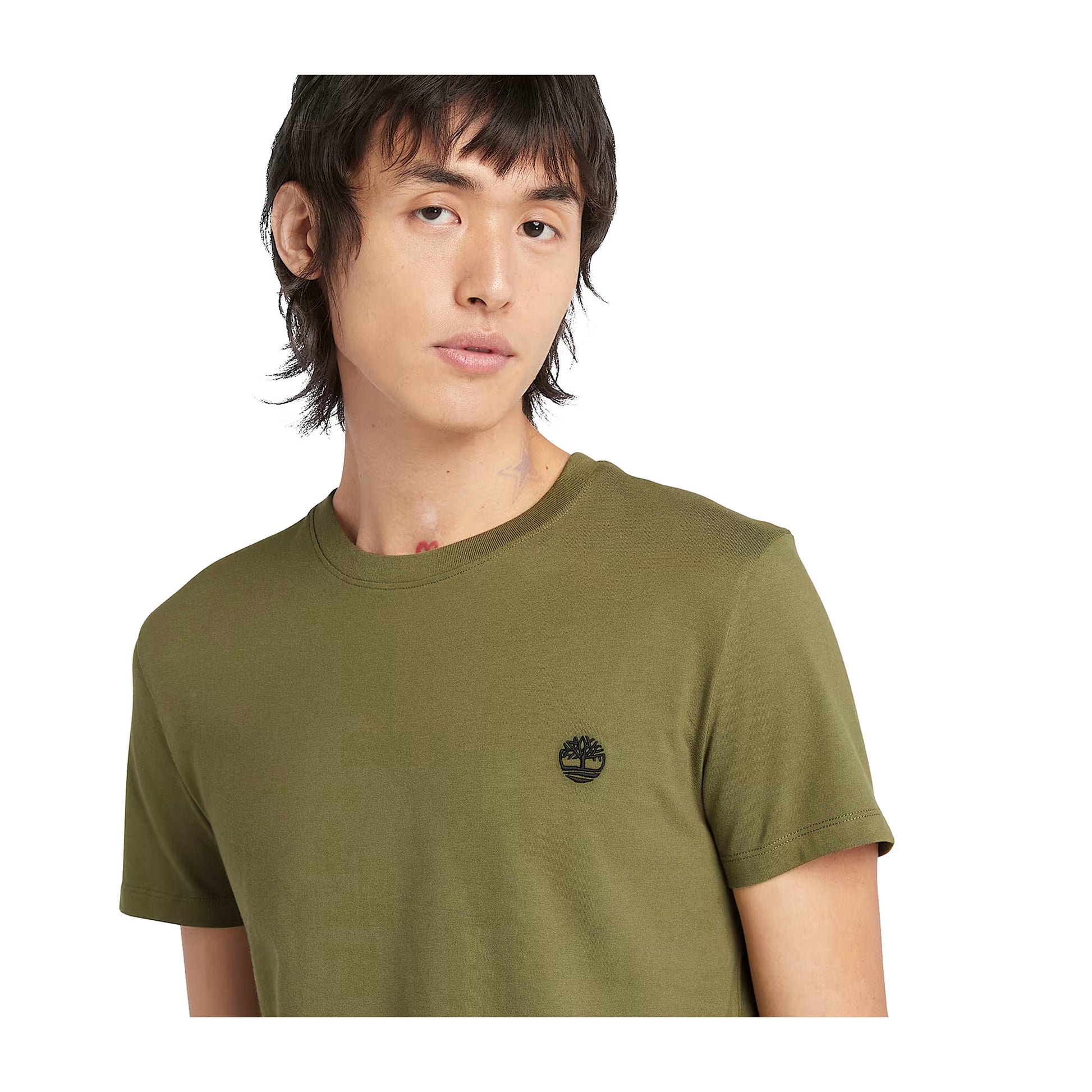 modello ravvicinato T-shirt Uomo Dunstan River verde