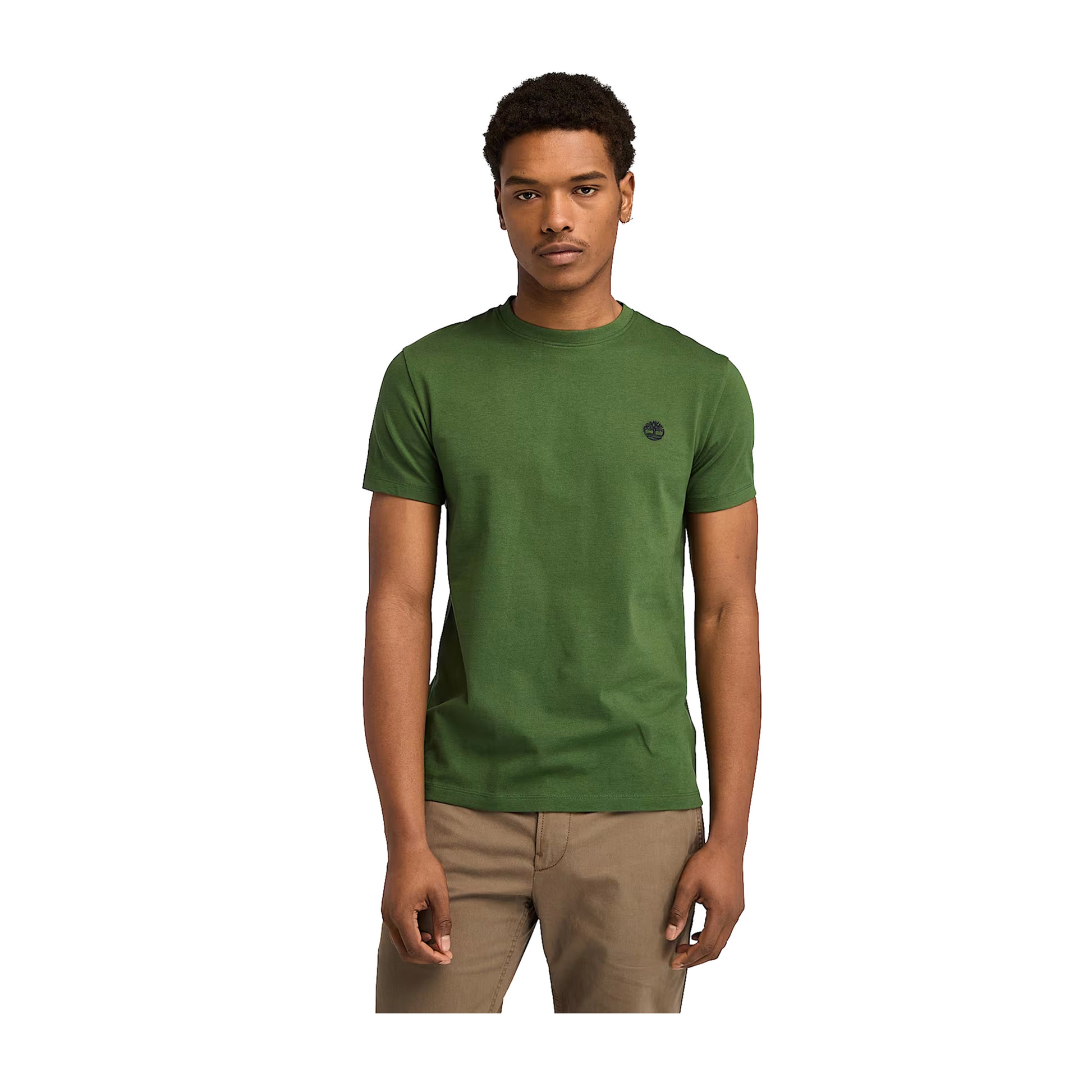 modello frontale T-shirt Uomo Dunstan River verde