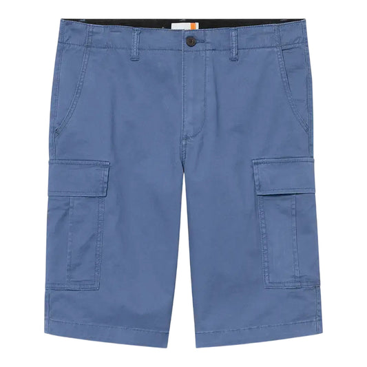 Bermuda cargo Uomo in Blu