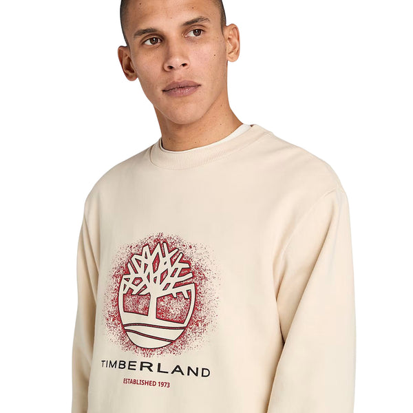 Felpa Uomo con motivo grafico stagionale Beige modello frontale ravvicinato