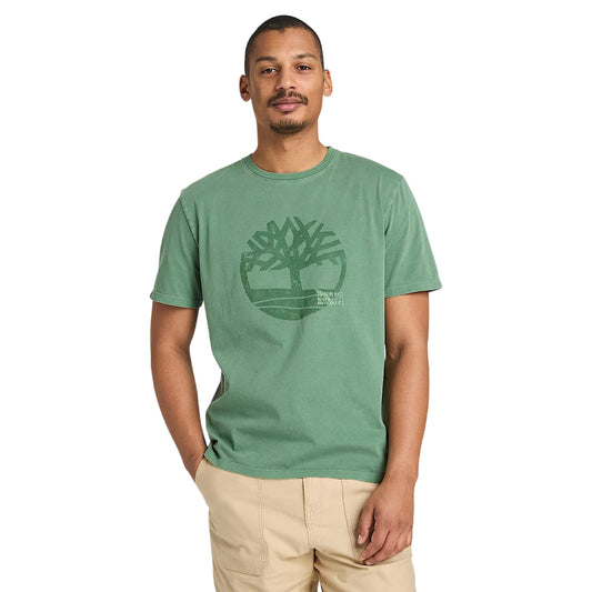 T-shirt di cotone con grafica e logo ricamato in verde chiaro 