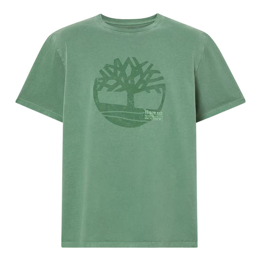 T-shirt di cotone con grafica e logo ricamato in verde chiaro 