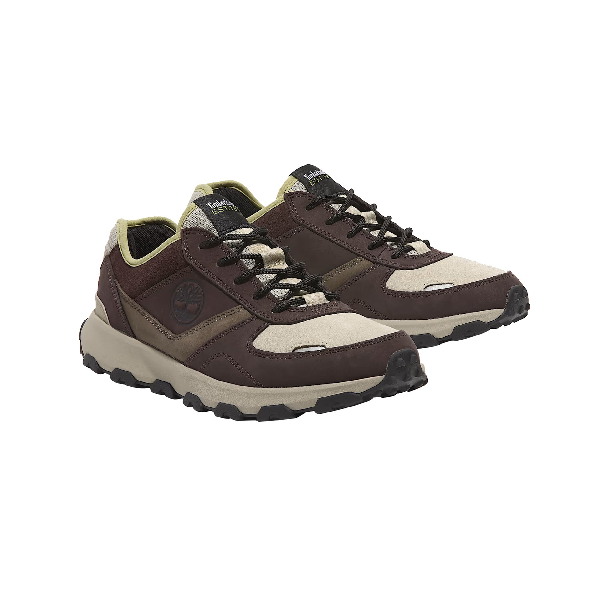 Sneakers Uomo basse Winsor Park marrone