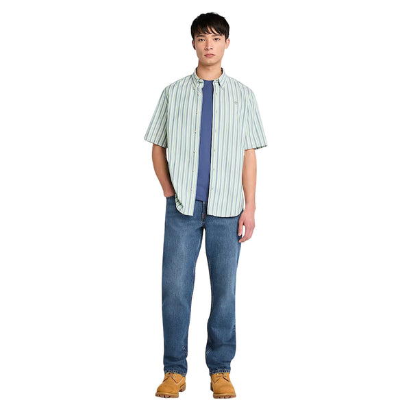 Camicia Uomo a righe con maniche corte verde modello intero frontale