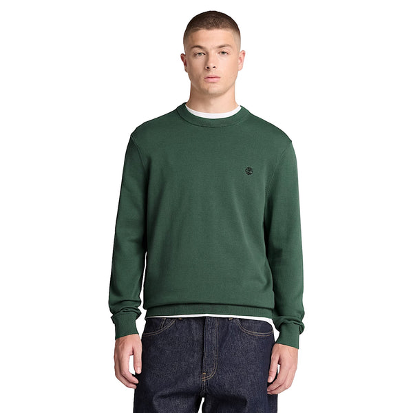 Maglione girocollo Uomo Williams River Verde modello frontale