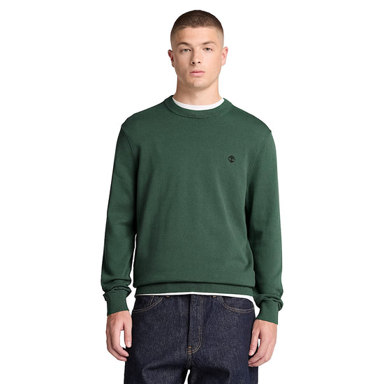 Maglione girocollo Uomo Williams River Verde modello frontale