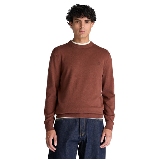 Maglione girocollo Uomo Williams River Marrone chiaro modello frontale