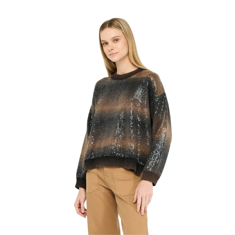 Maglia Donna sfumata con paillettes Marrone modella frontale